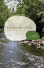 Image for Creekside: an archaeological novel