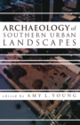 Image for Archaeology of southern urban landscapes