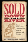 Image for Sold down the river: slavery in the lower Chattahoochee Valley of Alabama and Georgia