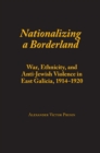 Image for Nationalizing a borderland: war, ethnicity, and anti-Jewish violence in east Galicia 1914-1920