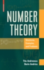 Image for Number theory  : a problem-solving approach
