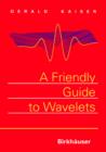 Image for A Friendly Guide to Wavelets