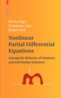 Image for Nonlinear partial differential equations  : asymptotic behavior of solutions and self-similar solutions