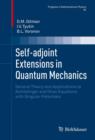 Image for Self-adjoint extensions in quantum mechanics: general theory and applications to Schrodinger and Dirac equations with singular potentials
