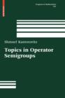 Image for Topics in operator semigroups