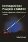 Image for Electromagnetic Wave Propagation in Turbulence