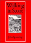 Image for Walking in Stone