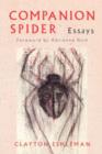 Image for Companion Spider