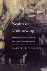 Image for Realm of unknowing: meditations on art, suicide, and other transformations