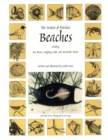 Image for The Nature of Florida&#39;s Beaches : Including Sea Beans, Laughing Gulls and Mermaids&#39; Purses