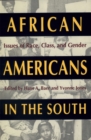 Image for African Americans in the South