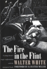 Image for The Fire in the Flint