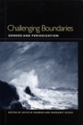 Image for Challenging Boundaries : Gender and Periodization