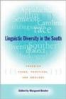 Image for Linguistic Diversity in the South