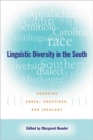 Image for Linguistic diversity in the South  : changing codes, practices, and ideology