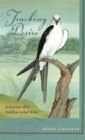 Image for Tracking Desire : A Journey After Swallow-tailed Kites