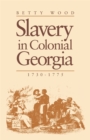 Image for Slavery in Colonial Georgia, 1730-1775