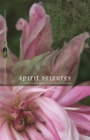 Image for Spirit Seizures