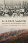 Image for Blue Ridge Commons : Environmental Activism and Forest History in Western North Carolina