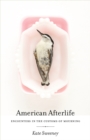 Image for American Afterlife : Encounters in the Customs of Mourning