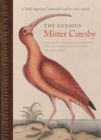 Image for The curious Mister Catesby  : a &quot;truly ingenious&quot; naturalist explores new worlds