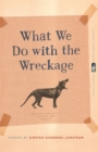 Image for What We Do with the Wreckage: Stories