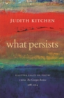 Image for What Persists : Selected Essays on Poetry from The Georgia Review, 1988-2014