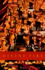 Image for Divine Fire: Poems
