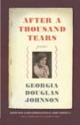 Image for After a thousand tears  : poems