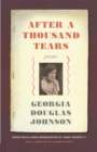 Image for After a Thousand Tears: Poems