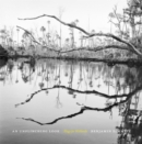 Image for An Unflinching Look : Elegy for Wetlands