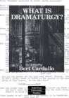 Image for What is Dramaturgy?
