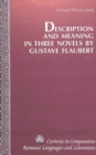 Image for Description and Meaning in Three Novels by Gustave Flaubert