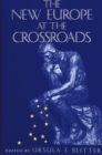 Image for The New Europe at the Crossroads