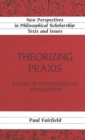 Image for Theorizing Praxis : Studies in Hermeneutical Pragmatism