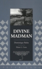 Image for Divine Madman : Reflections on Interpretation and Practice