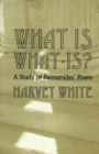 Image for What is What-is? : A Study of Parmenides&#39; Poem