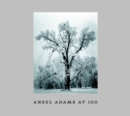 Image for Ansel Adams At 100