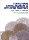 Image for Subnational capital markets in developing countries  : from theory to practice