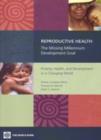 Image for Reproductive Health—The Missing Millennium Development Goal