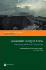 Image for Sustainable Energy in China