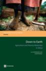 Image for Down to Earth : Agriculture and Poverty Reduction in Africa