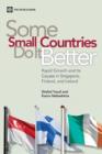 Image for Some Small Countries do it Better : Rapid Growth and its Causes in Singapore, Finland and Ireland