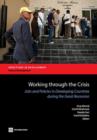 Image for Working Through the Crisis : Jobs and Policies in Developing Countries During the Great Recession