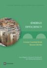 Image for Energy Efficiency : Lessons Learned from Success Stories