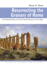 Image for Resurrecting the Granary of Rome