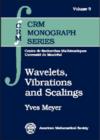 Image for Wavelets, Vibrations and Scalings