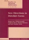 Image for New Directions in Dirichlet Forms