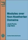 Image for Modules Over Non-noetherian Domains