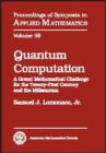 Image for Quantum computation  : a grand mathematical challenge for the twenty-first century and the millennium